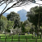 Pinelands Pinelands